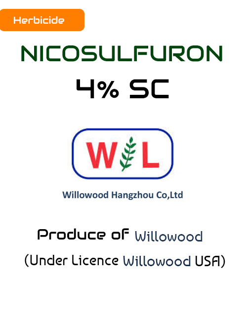 Product Name